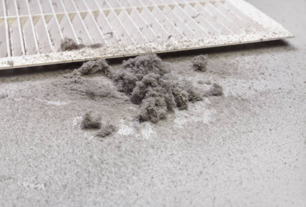 Best Professional Duct Cleaning Services  in Yorkville, WI