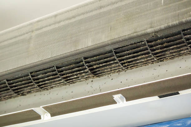 Best Air Duct Cleaning Near Me  in Yorkville, WI